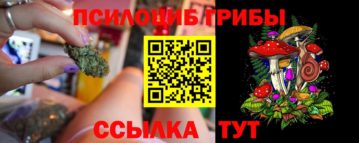 Псилоцибиновые грибы Psilocybine cubensis  Псилоцибиновые грибы мицелий  Междуреченск  Вход с VPN 